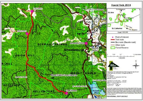 Forest Trek 2014 