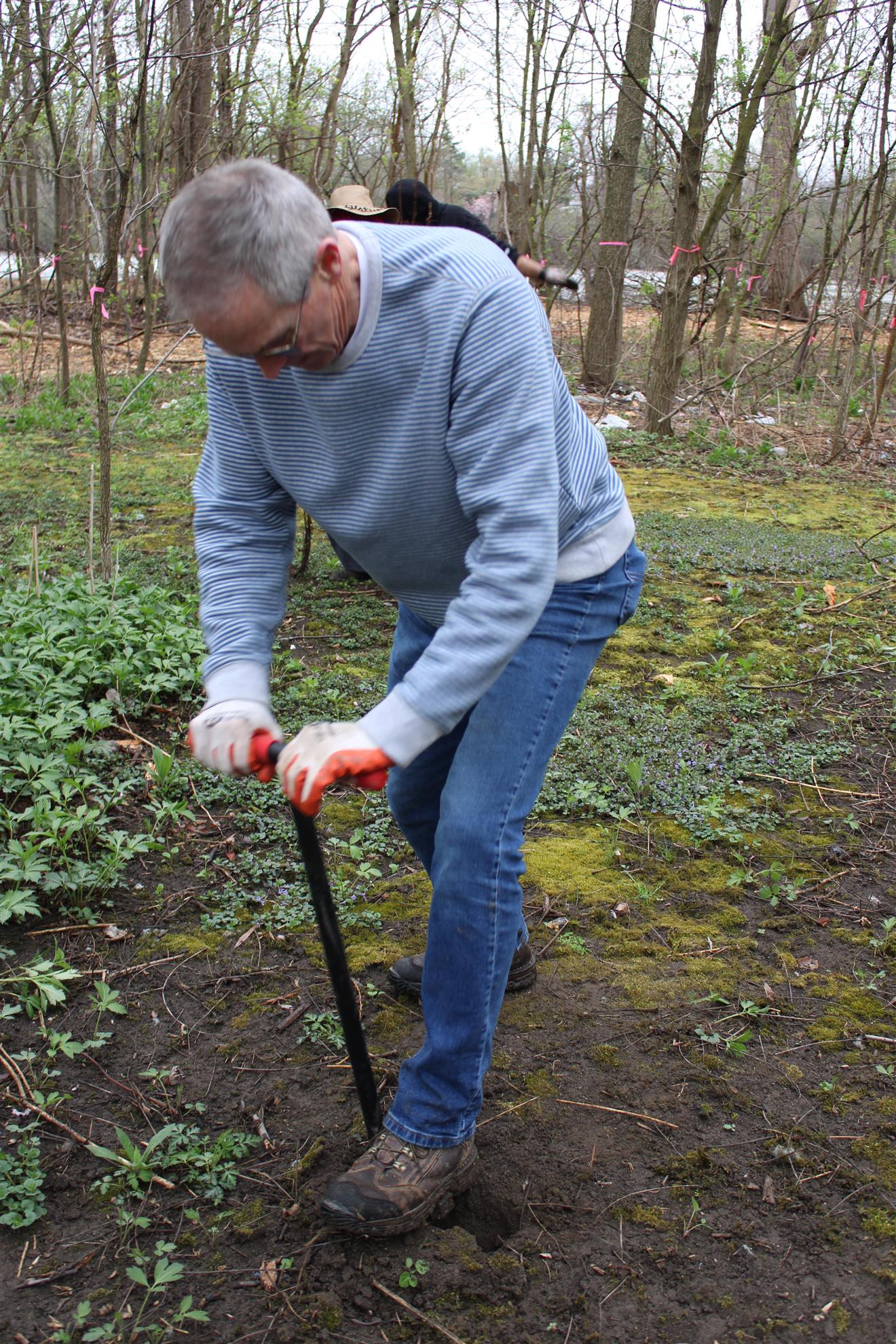 We Speak for the Trees: Planting Trees Across Flint | Rotary Club of ...