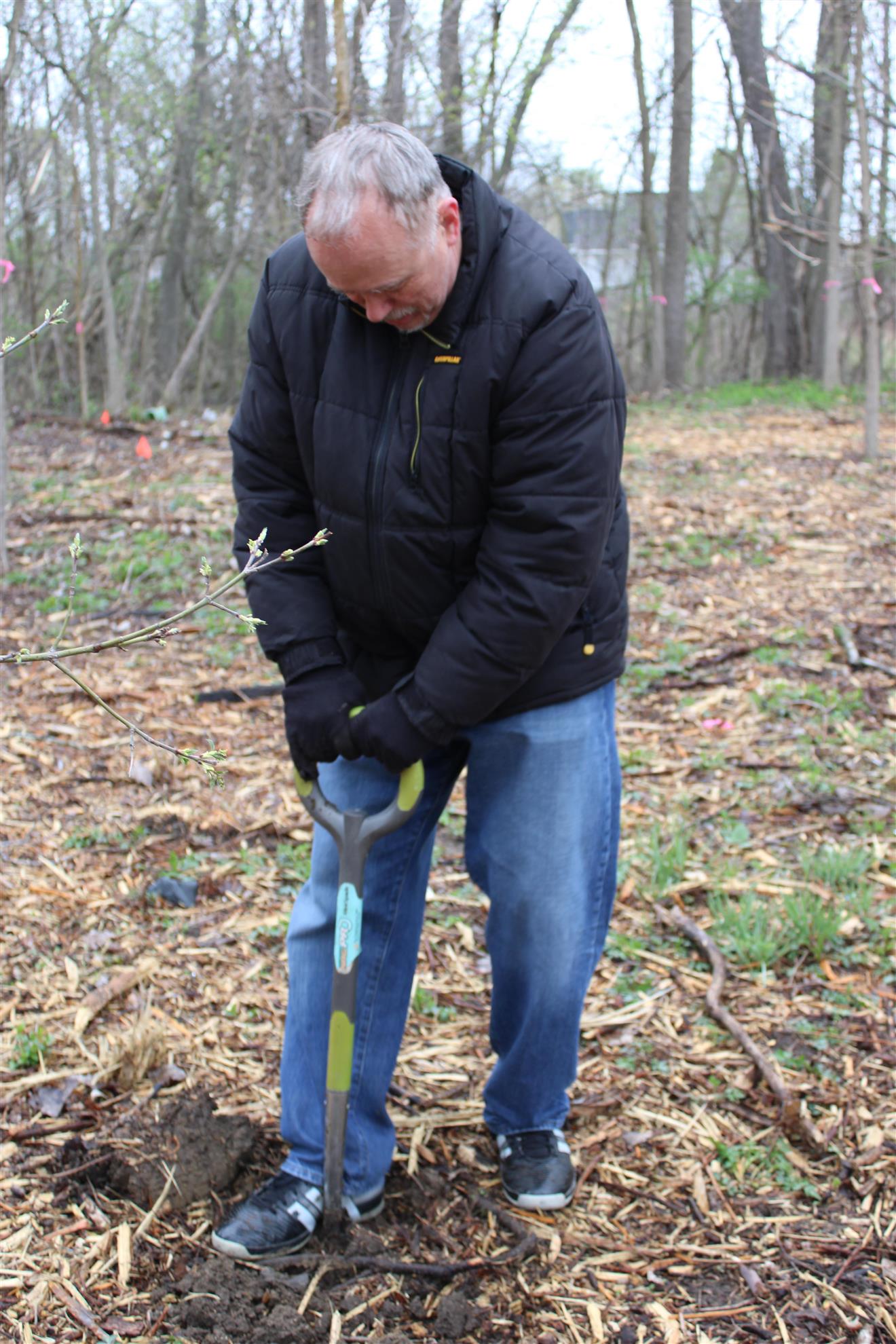 We Speak for the Trees: Planting Trees Across Flint | Rotary Club of ...