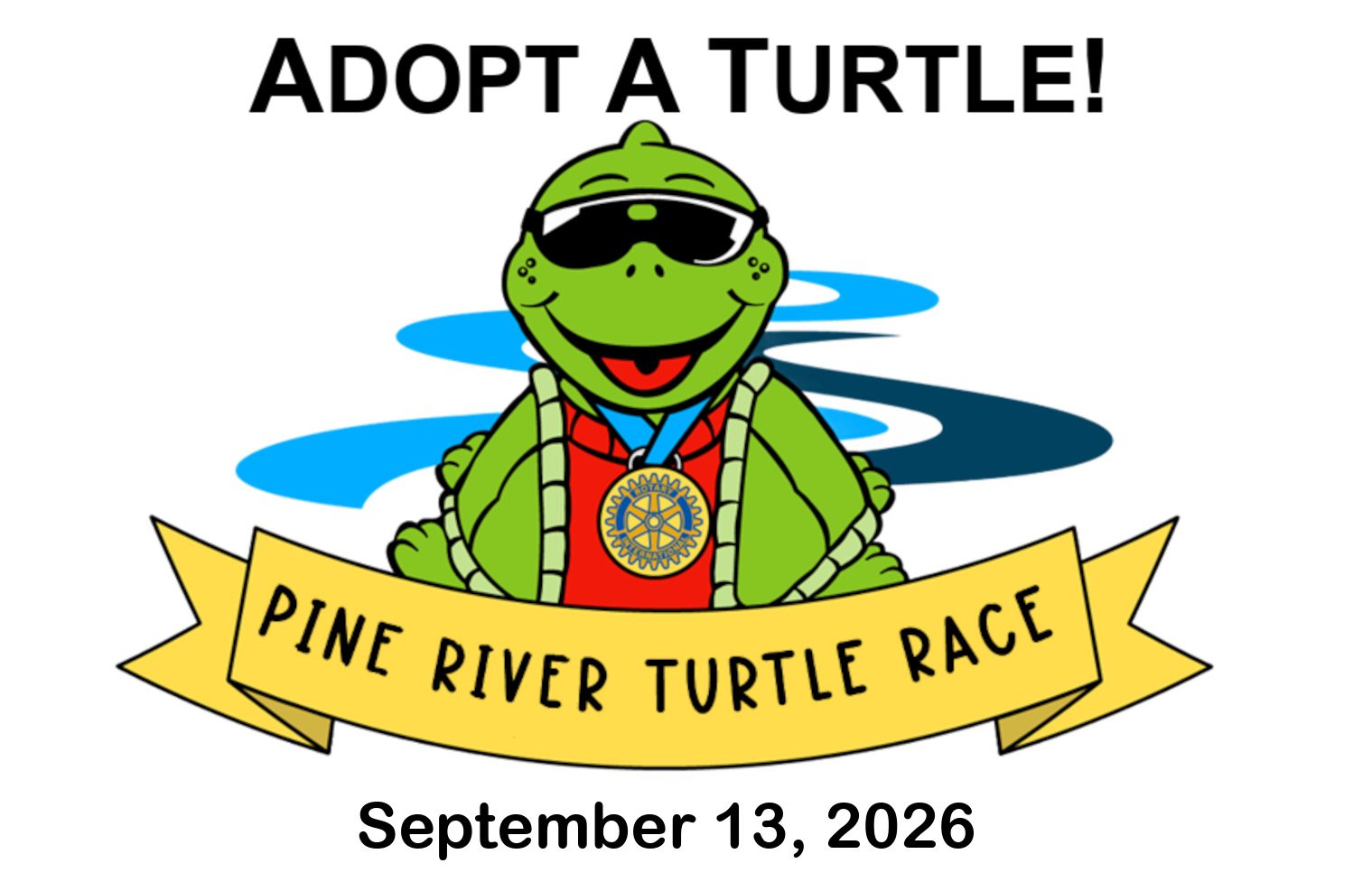 Adopt a turtle!