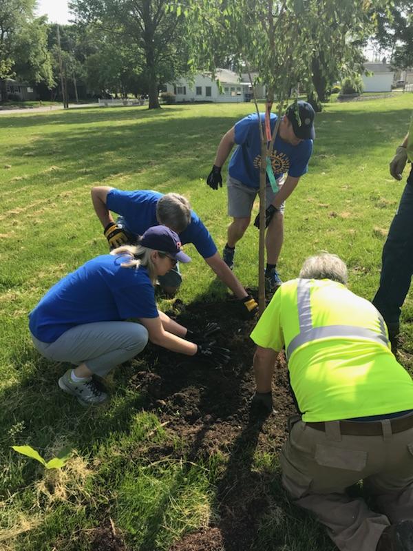 Thank You Rotary Volunteers - Tree Planting Event | Rotary Club of ...