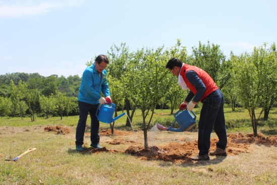 Creating Lasting Impact - Planting Trees