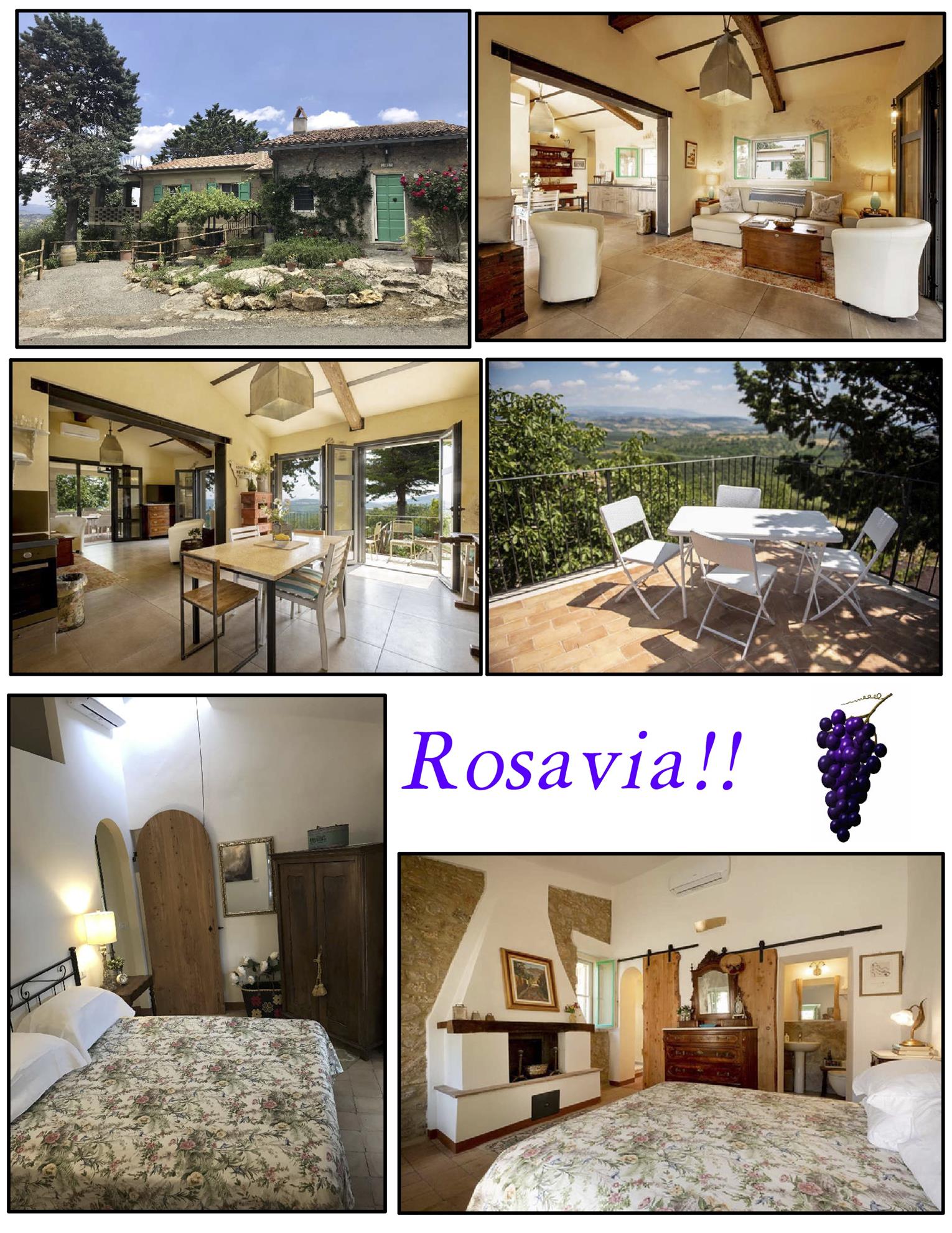 15Rosavia-collage-final.jpg