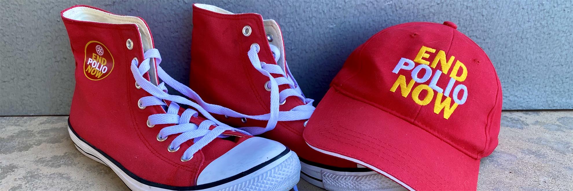 We Eradicate Disease