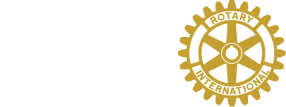 Surprise logo