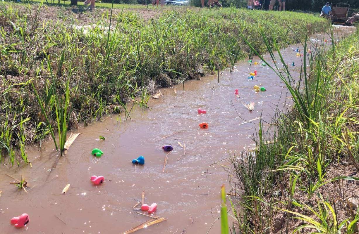 Duck Race 2022