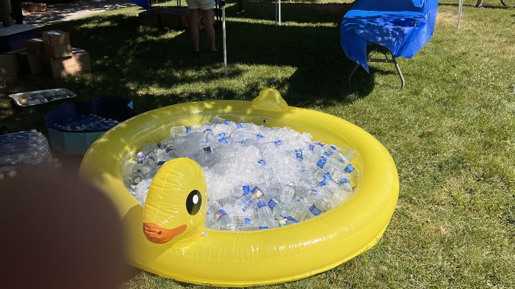 rubber-duck.jpg