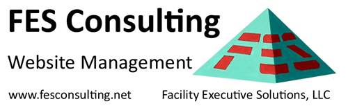 FES Consulting - Website Management