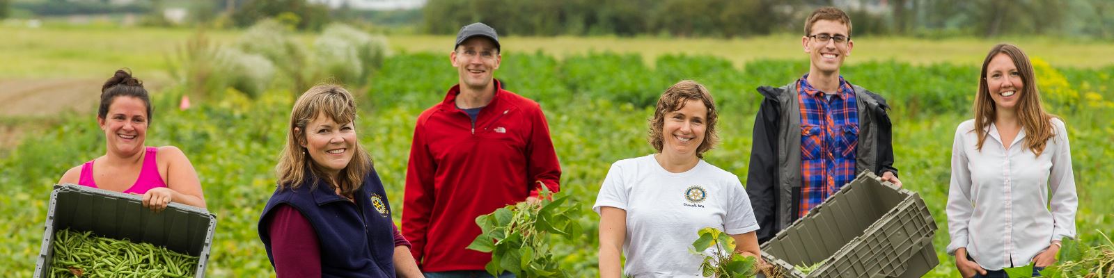 Working on Sustainability Projects