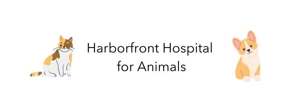 Harborfront Hospital for Animals Spring Lake Michigan