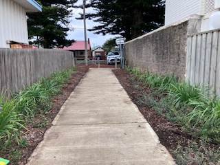 Looking towards Gipps St. after the weeding