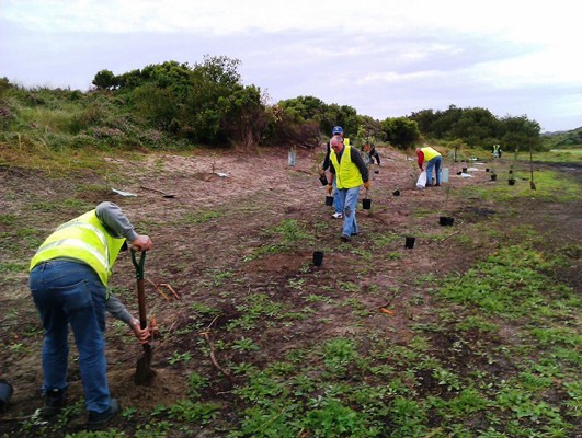 Members of the Rotary Club hard at work at Russell Clark Reserve