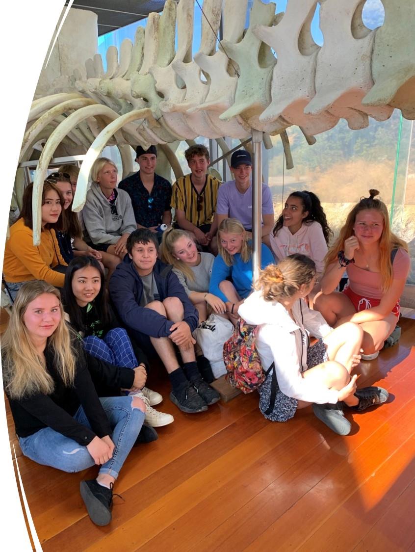 ROTARY YOUTH EXCHANGE MINI SAFARI