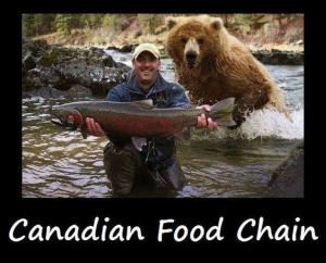 Canadian-Food-chain.jpg