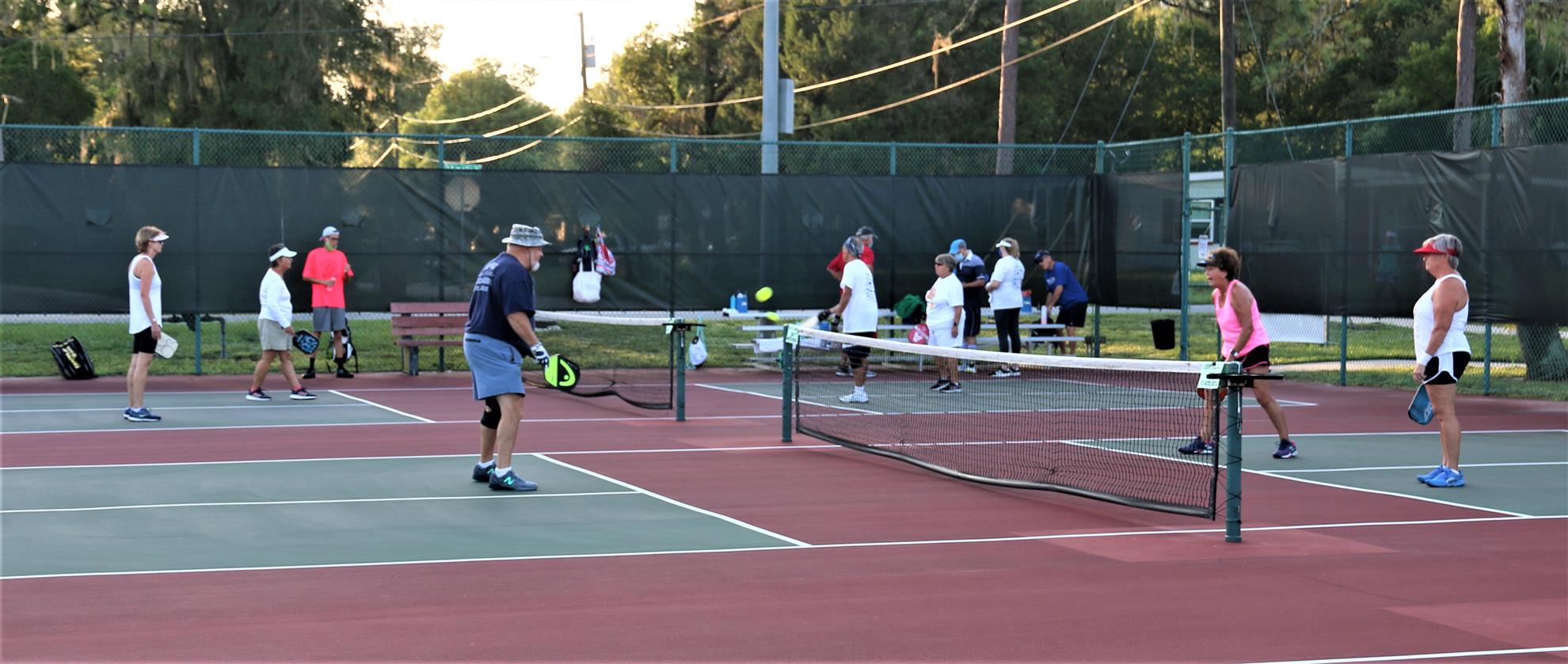 Rotary Pickleball Game Playing