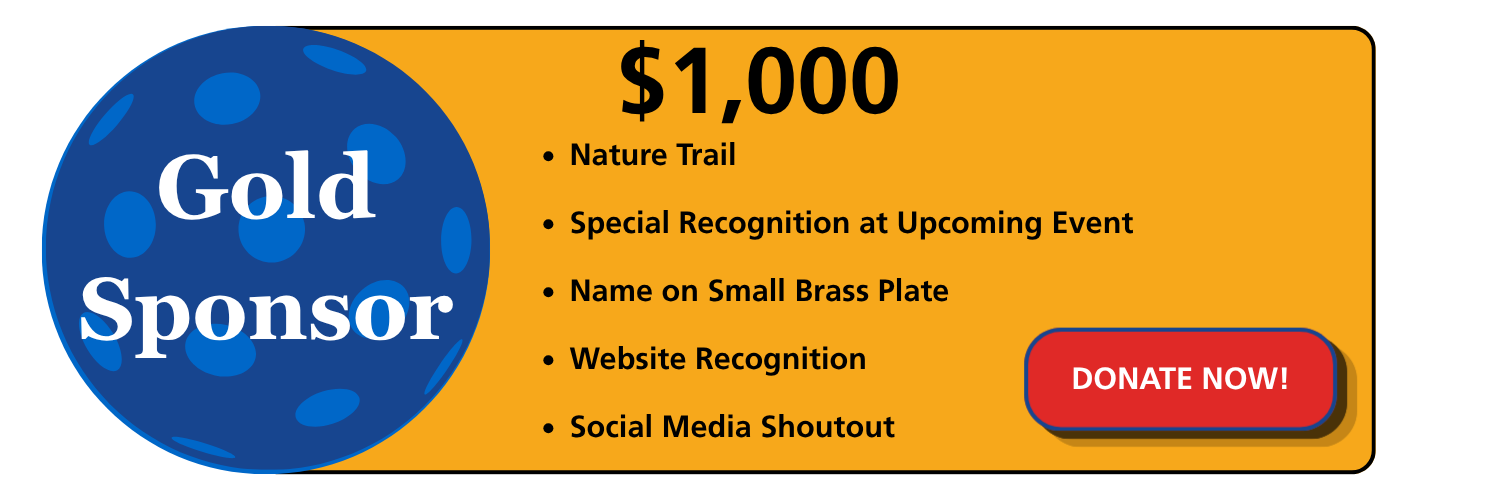 Gold Sponsor