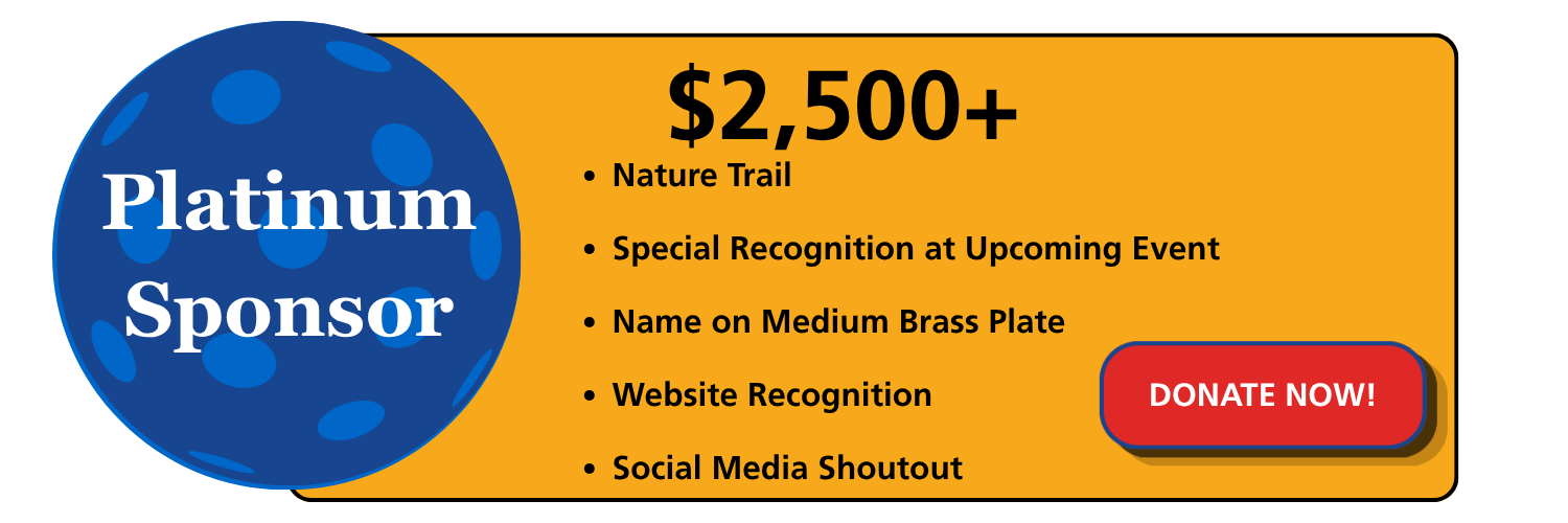 Gold Sponsor
