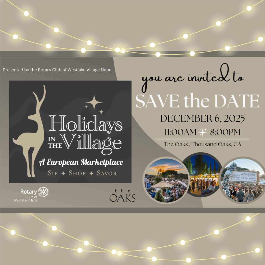 Holidays in the Village. A European Marketplace.