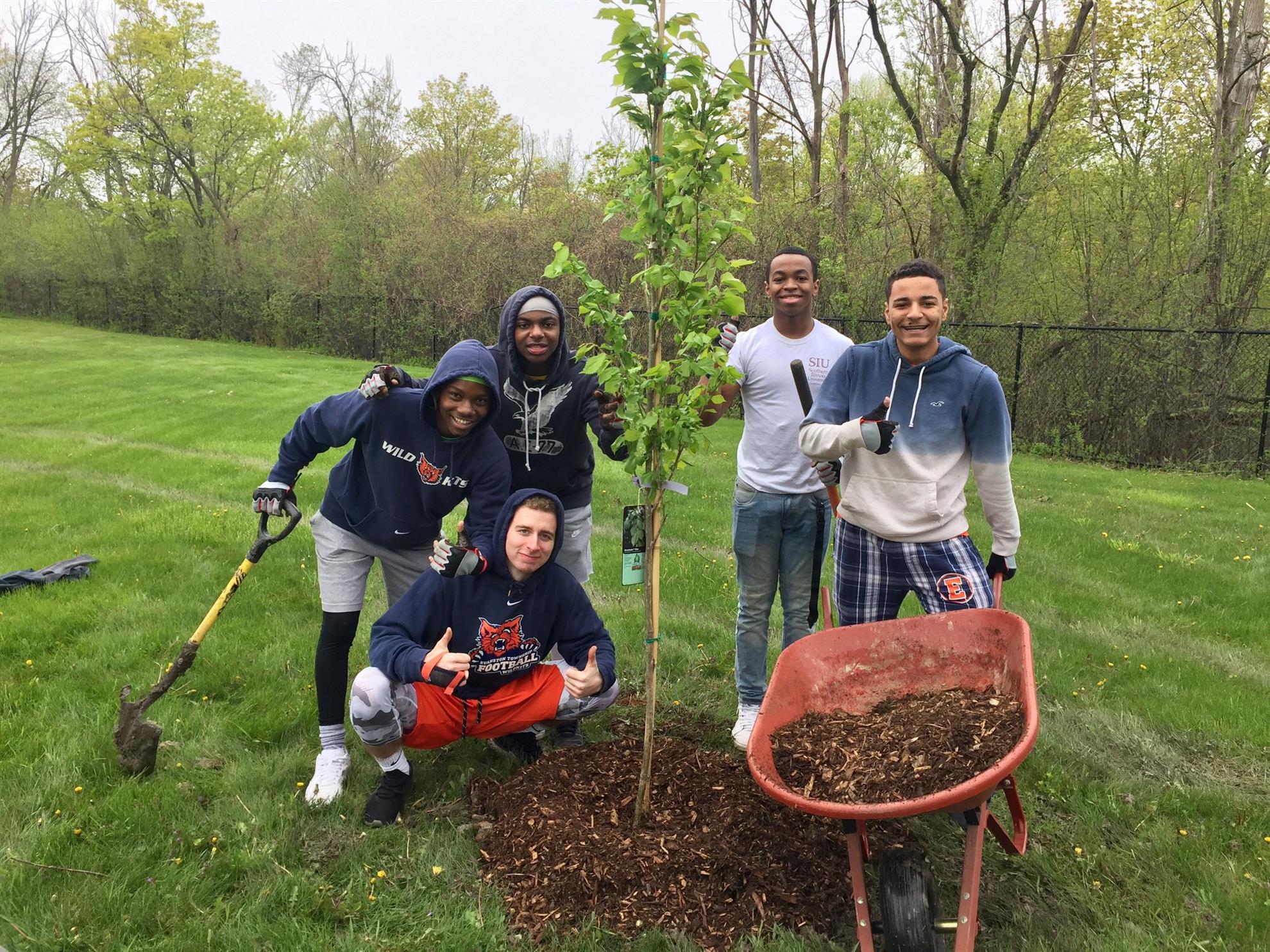 Planting trees in local parks