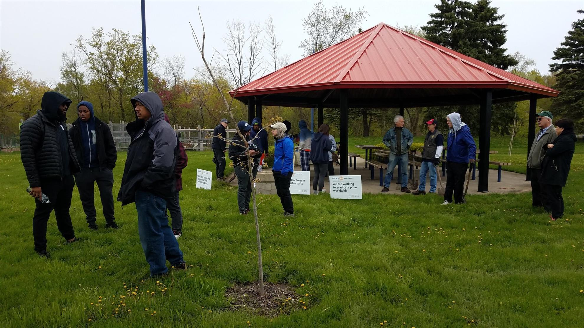 A good group for planting