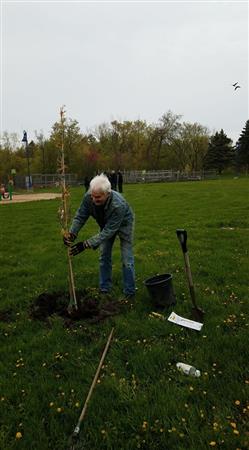 Bill plants a tree