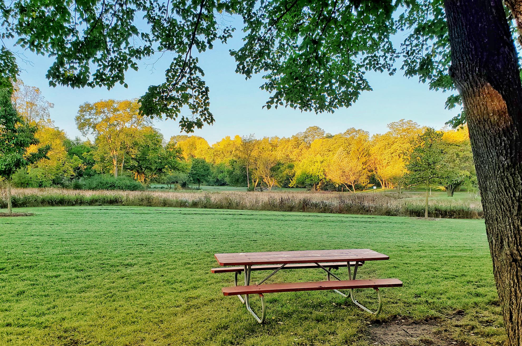 Wheeler Park Geneva | ROTARY CLUB OF GENEVA, Illinois