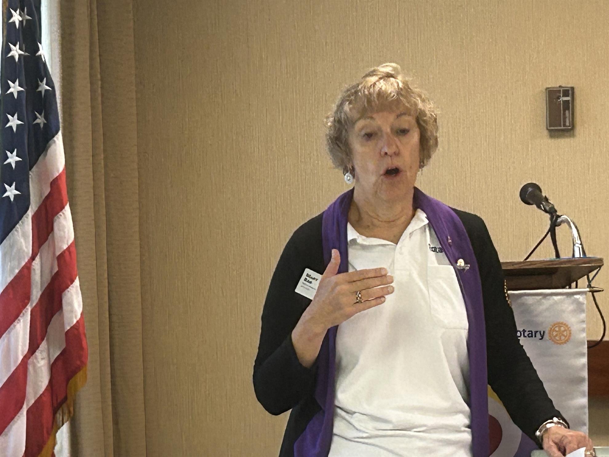 District Governor Mary Bak Visits Gurnee Rotary