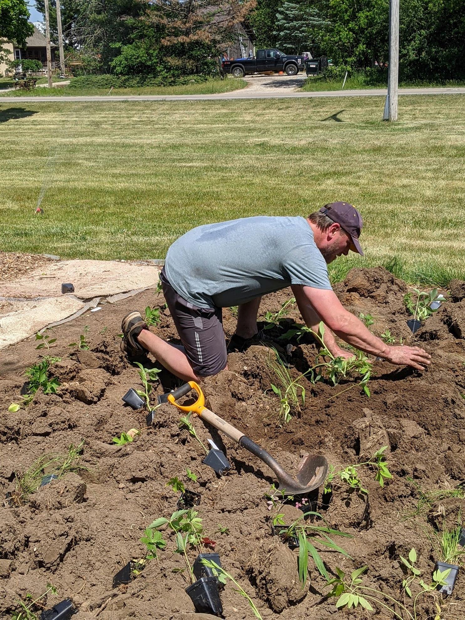 Planting a pollinator garden