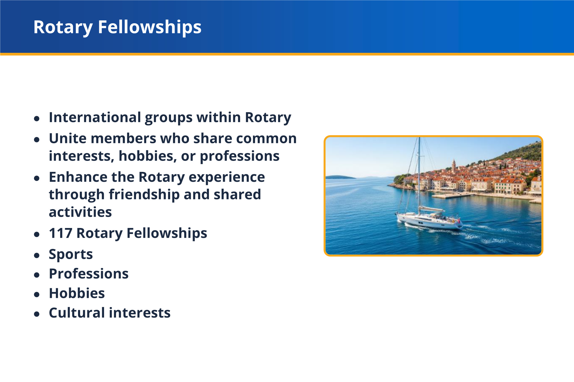 Rotary Fellowships