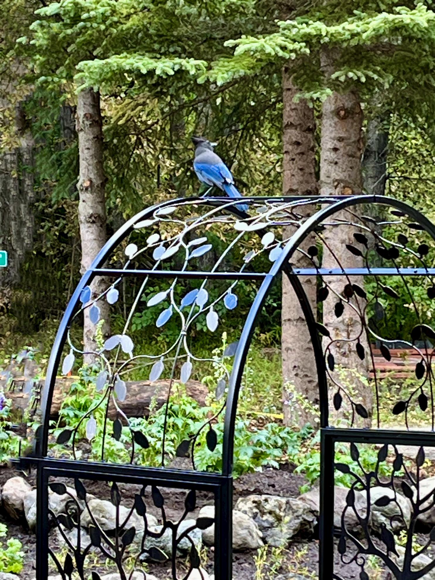 Eagle River Nature Center Pollinator Project | Rotarians volunteering as part of "Life on Land".