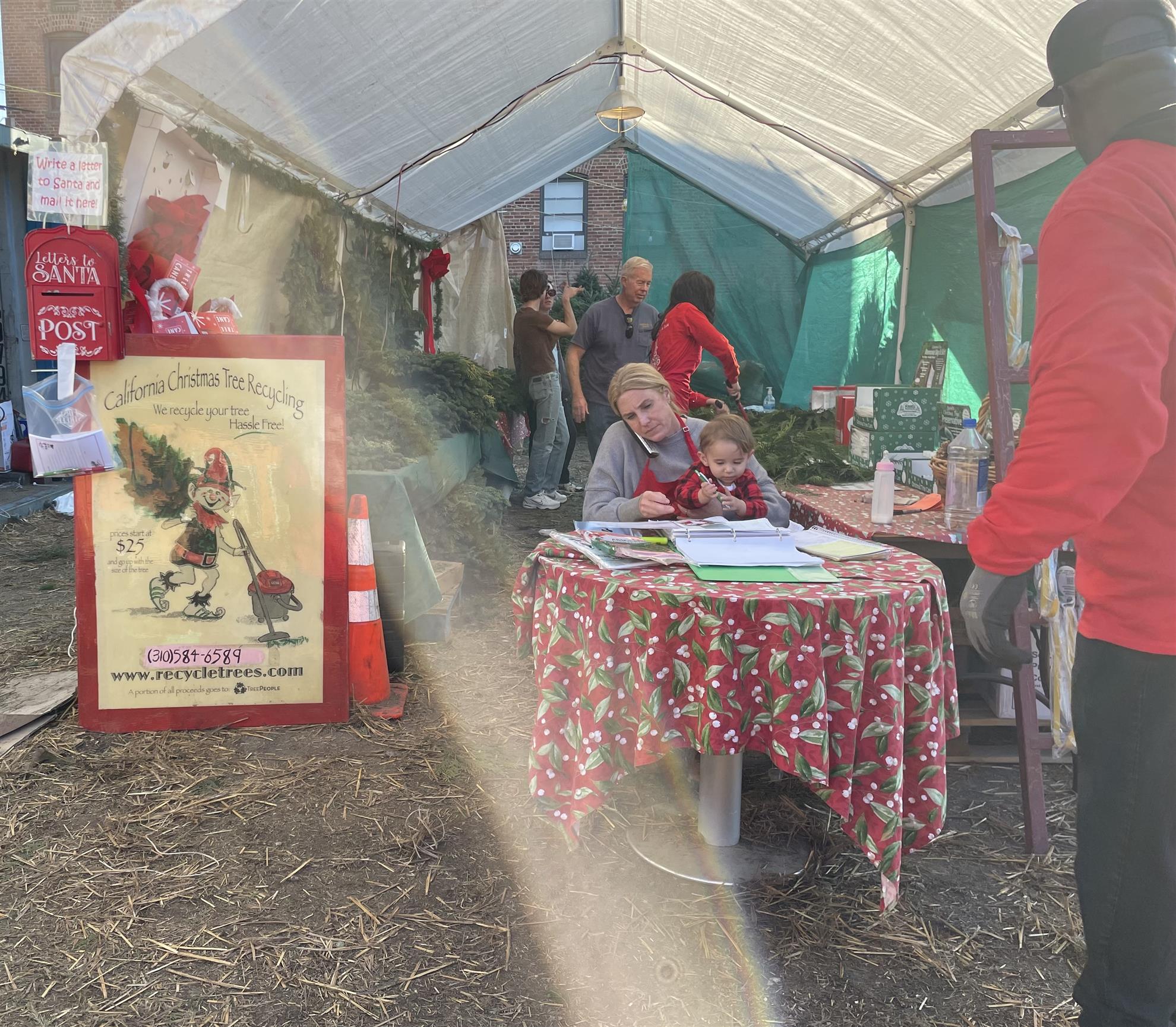 Tree Lot Making Weekly Bulletin (Dec 11, 2022)