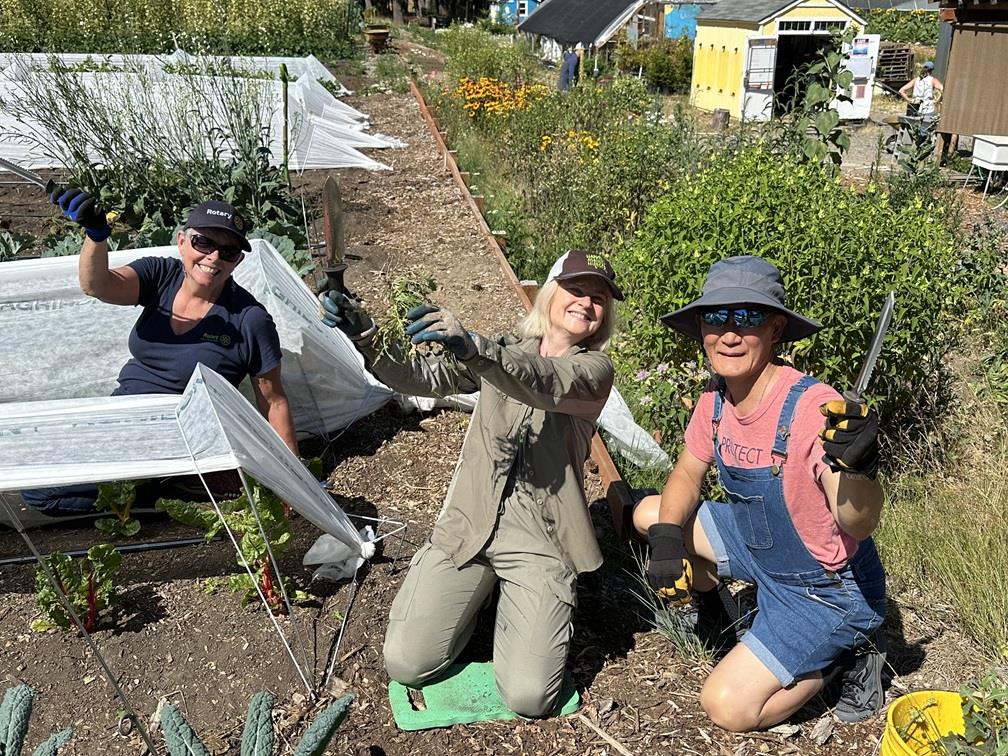 Harvest Against Hunger and Rotary District 5030 Work Party at Elk Run Farm