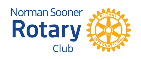 York Vikings Rotary Club - ppt download