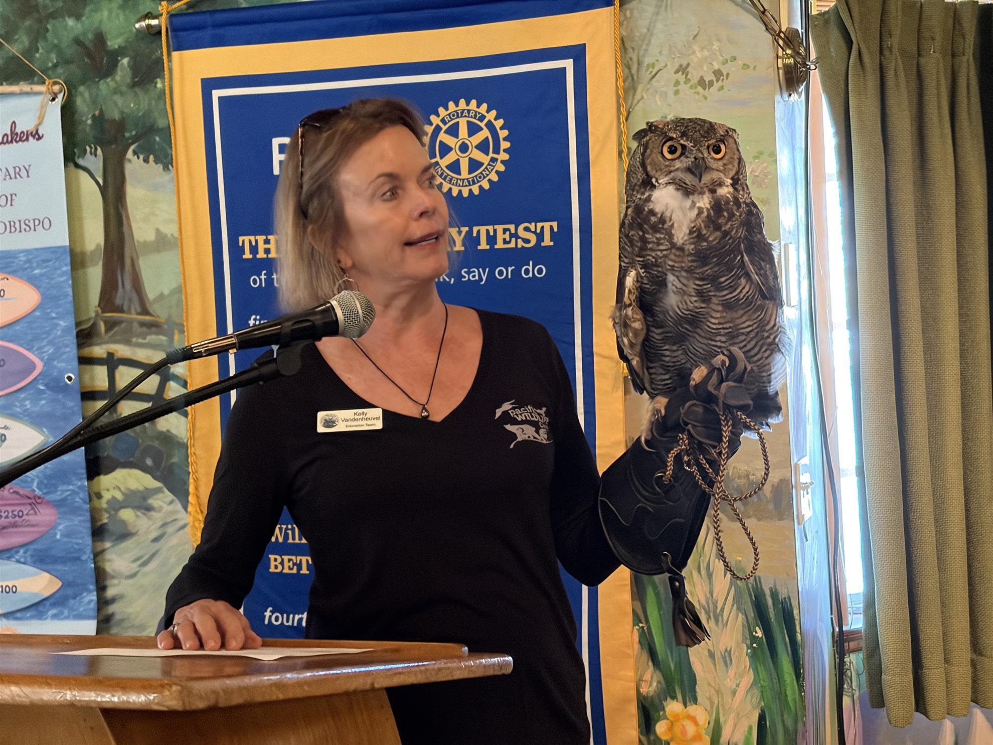 Kelley Vandenheuval of Pacific Wildlife Care sharing their Great Horned Owl Ambassador with the Club