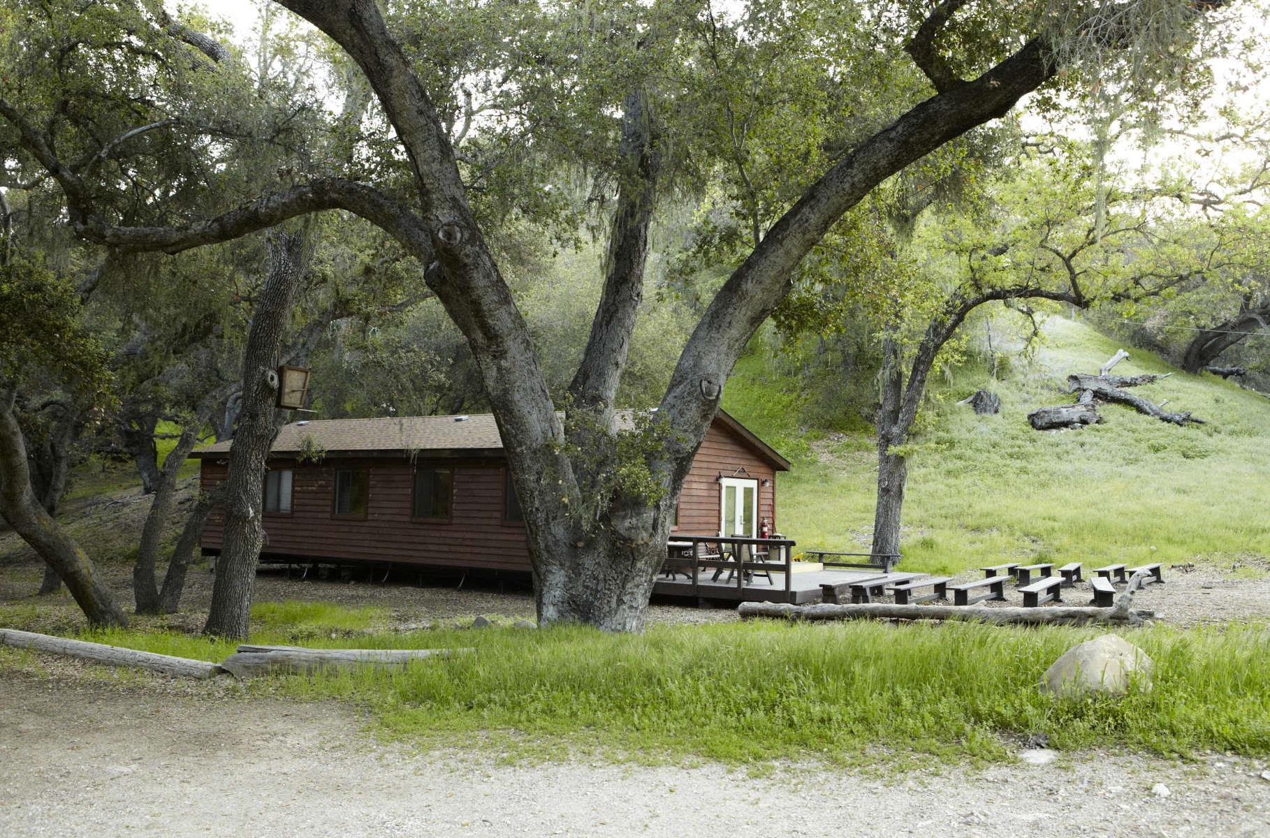 Sponsor A Tree At Camp Whittier Rotary Club Of Santa Barbara Sunrise