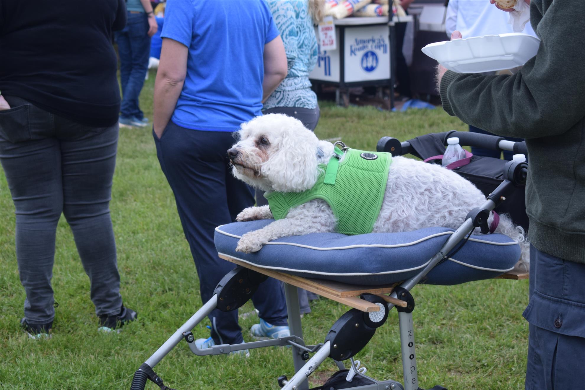 Branchburg Food Truck And Music Festival Rotary Club Of Branchburg