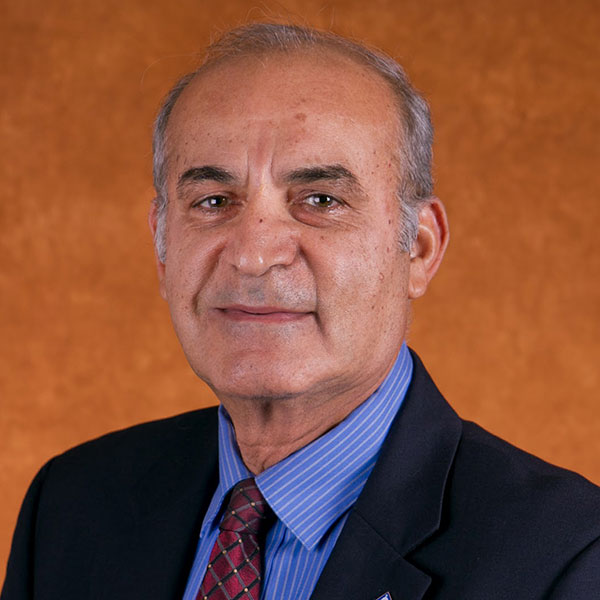 Dean Rassule Hadidi, Metropolitan State University