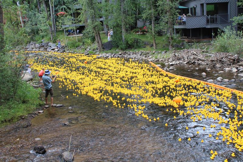 Ducky Derby 2024 | Rotary Club of Aspen