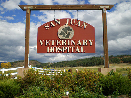 San Juan Veterinary Hospital, Inc.