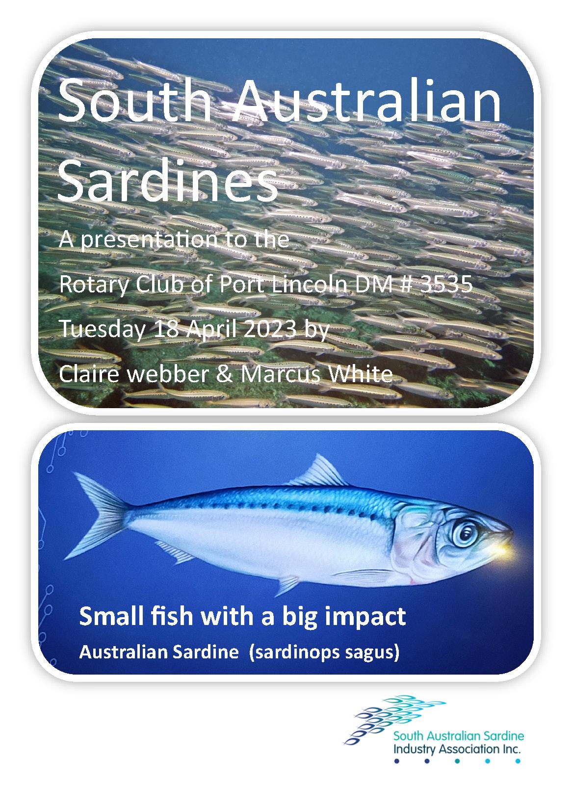 Local Sardine industry explained Rotary Club of Port Lincoln