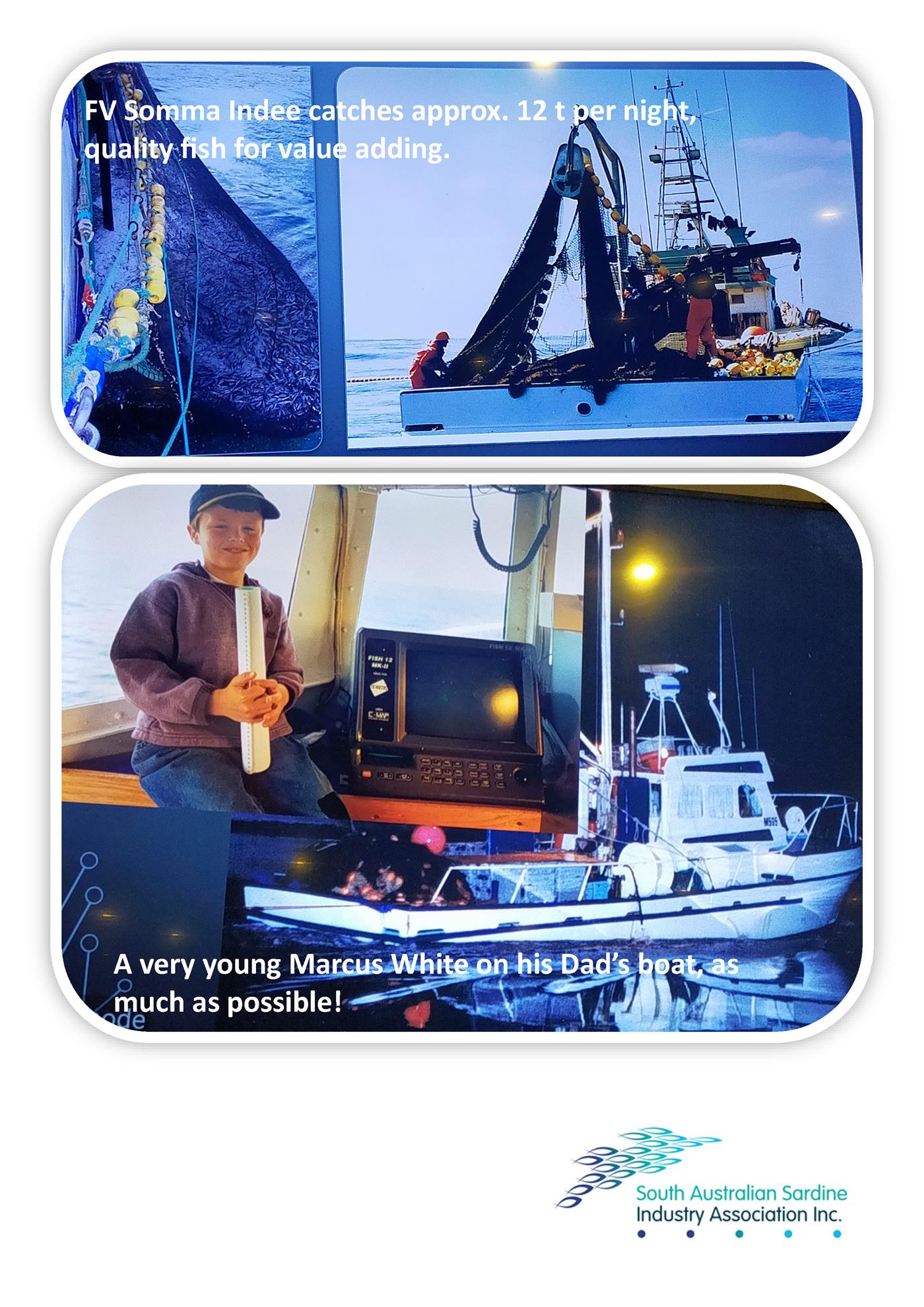 Local Sardine industry explained Rotary Club of Port Lincoln