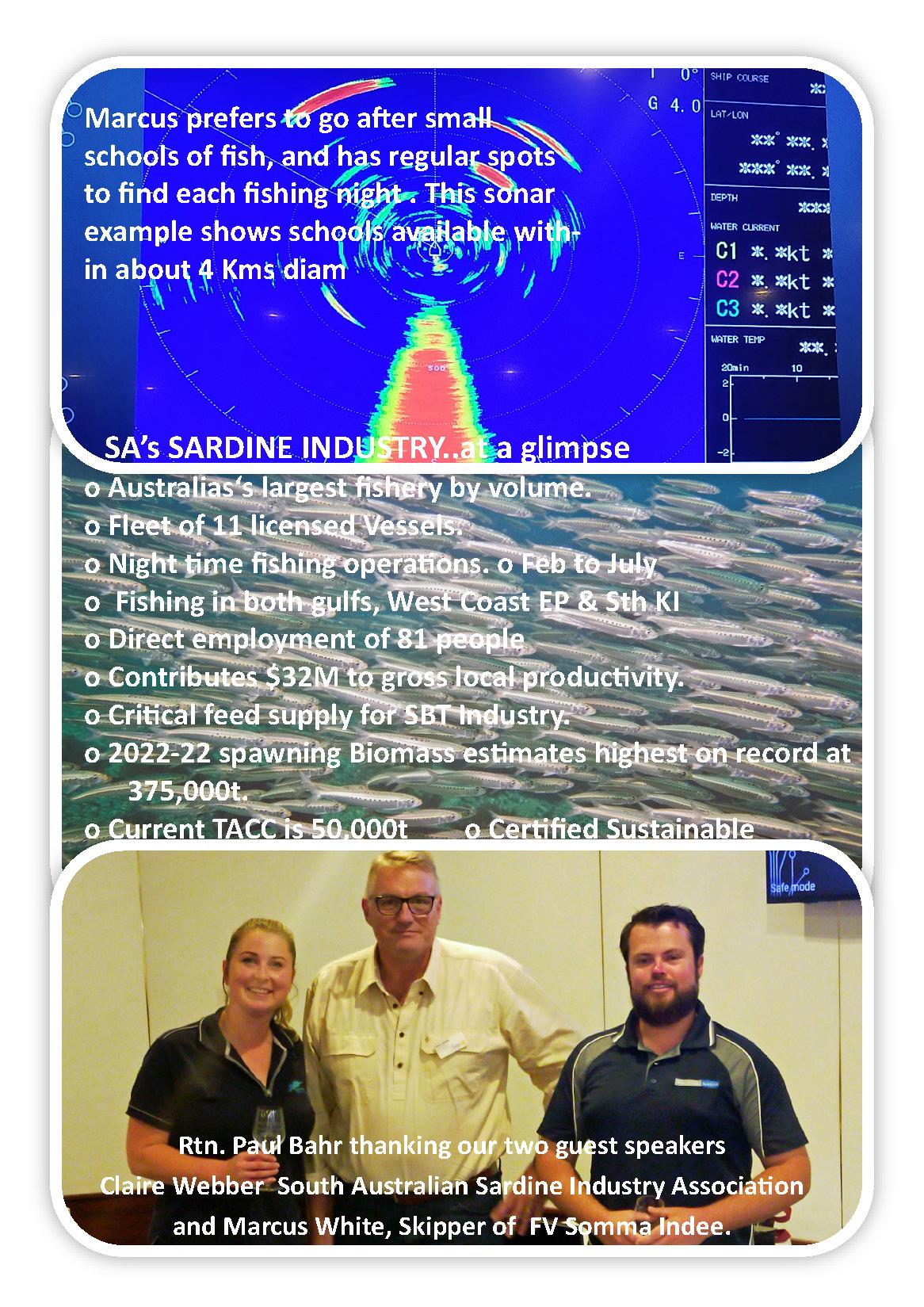 Local Sardine industry explained Rotary Club of Port Lincoln