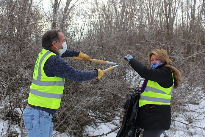 Cutting false indigo seed pods_TFischer_20220123