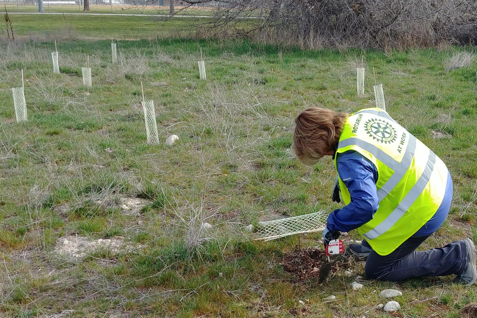 Weeding and mulching at WPP_LZuckerman_20220326