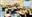 IMG_0575.jpeg