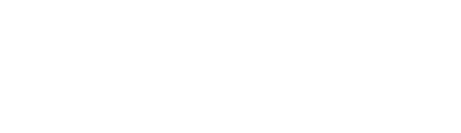 Mineral Wells logo