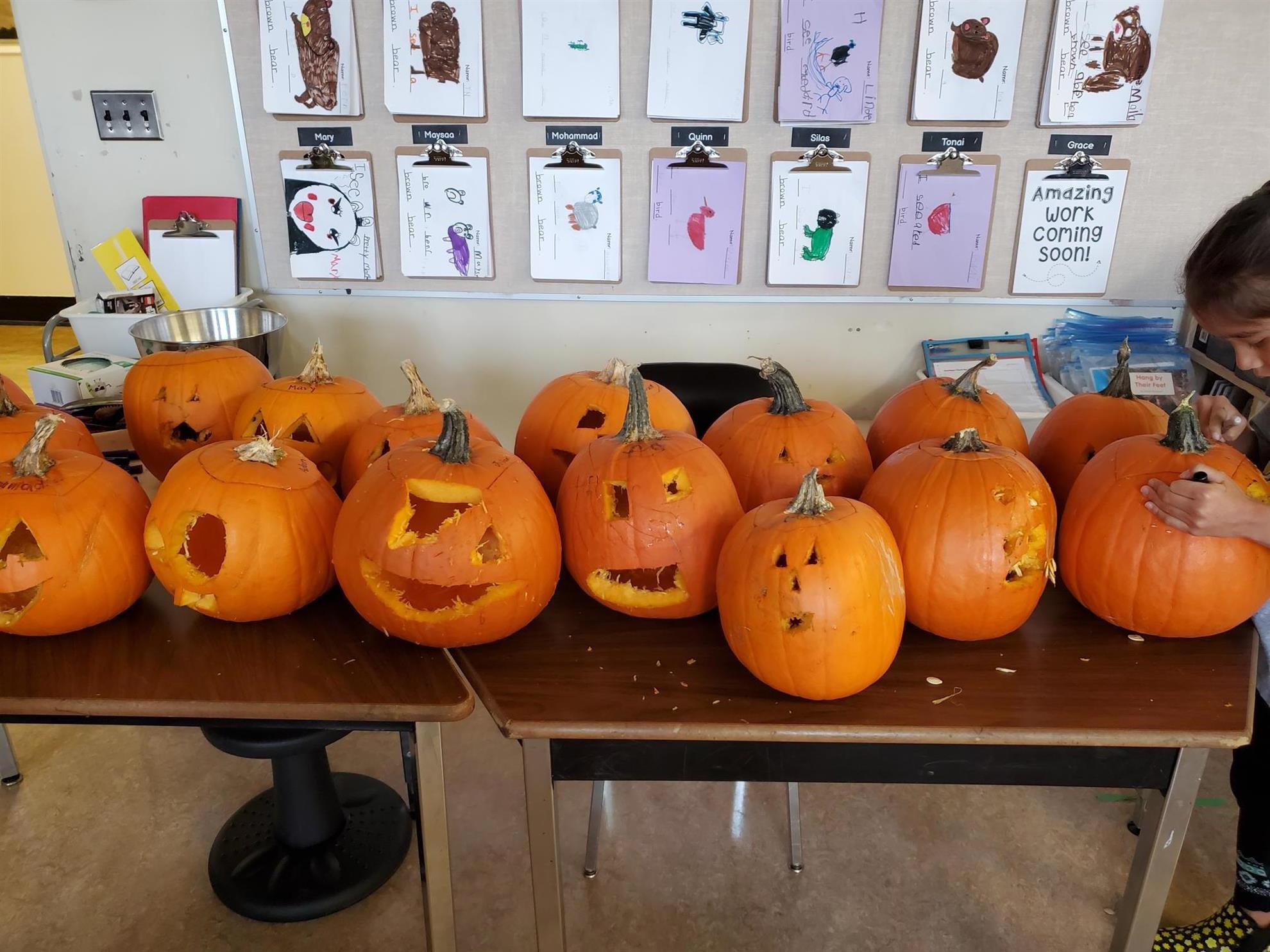 Pumpkin Patch for Admiral Seymour School Rotary Club of Vancouver