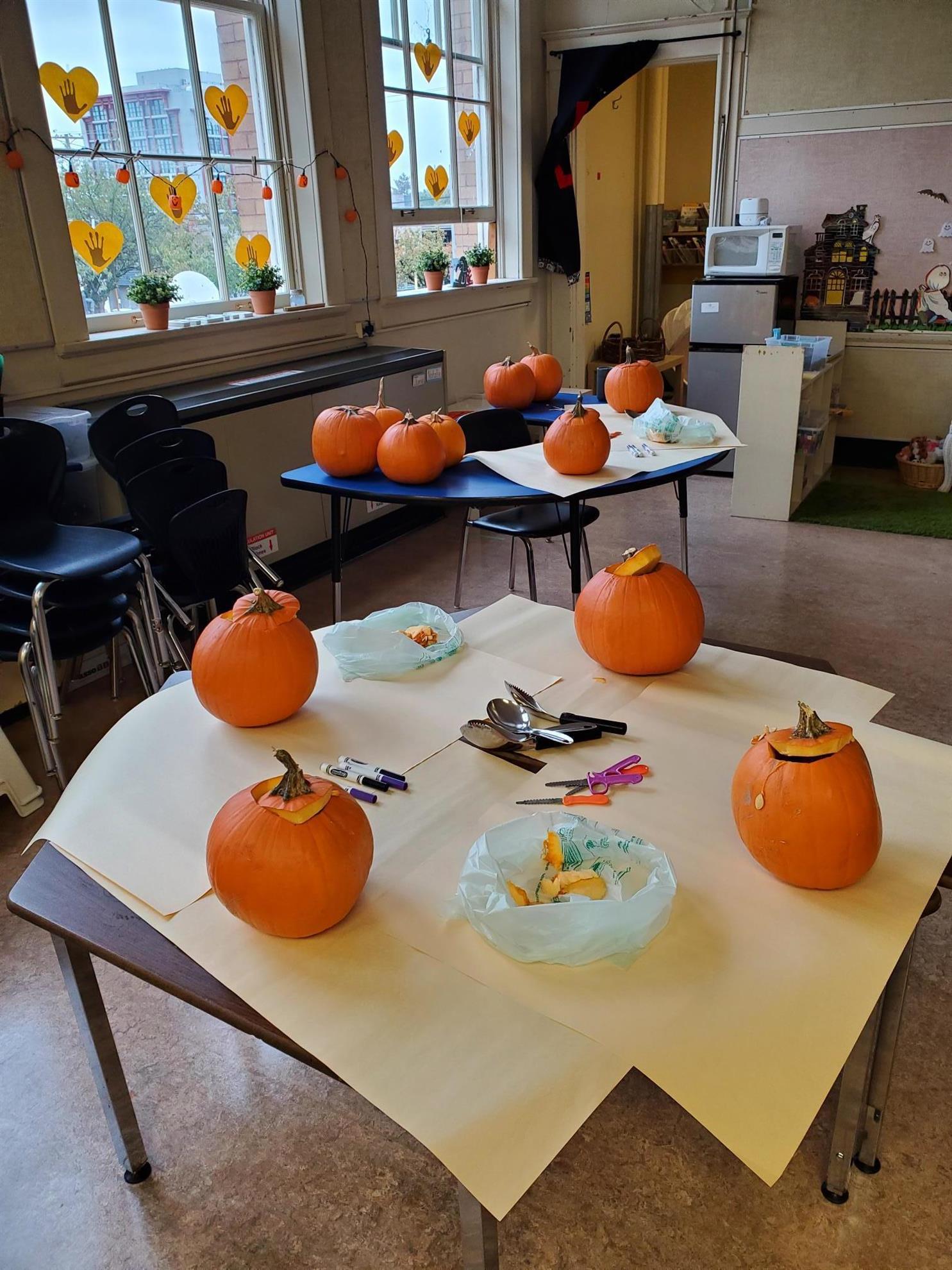 Pumpkin Patch for Admiral Seymour School Rotary Club of Vancouver