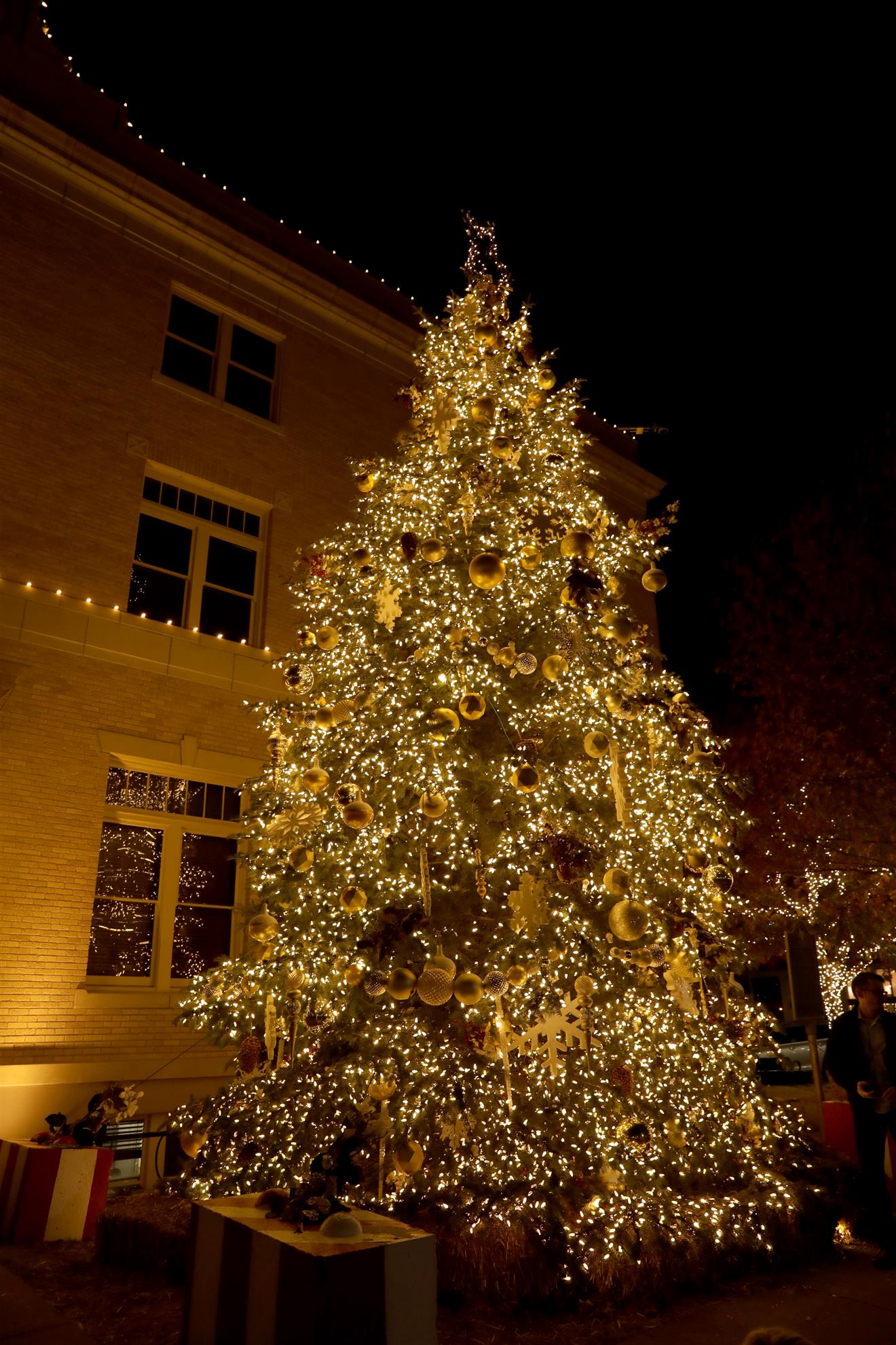 2023 Parade of Lights | Rotary Club of McKinney