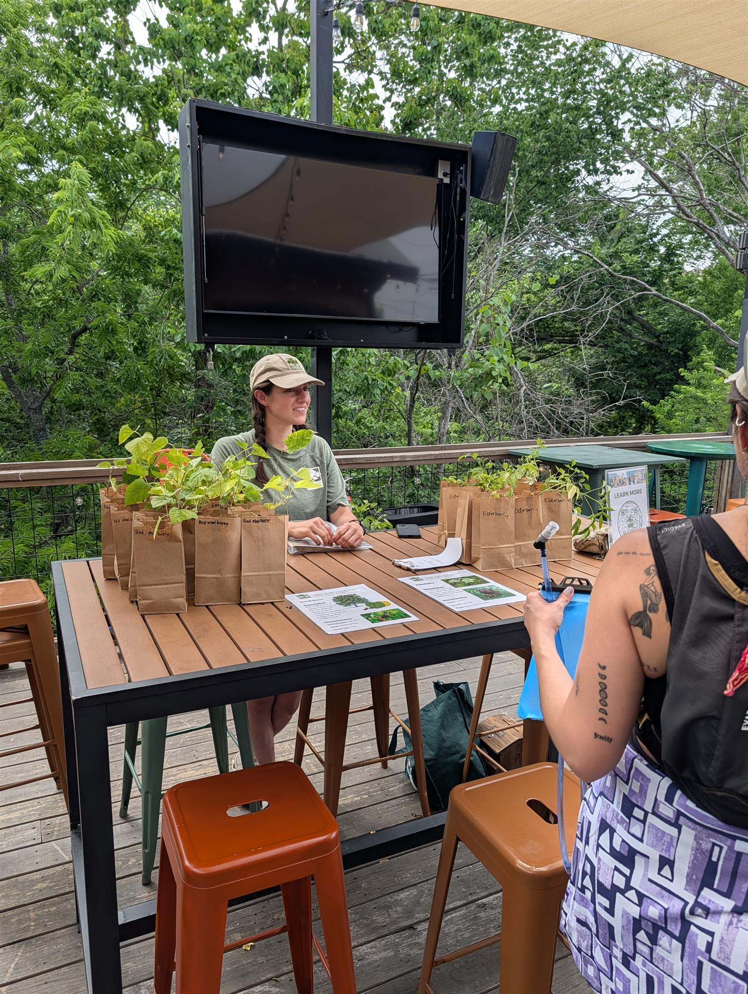 Trees for Houston giving away Mulberries and Elderberries